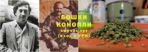 шишки Арсеньев