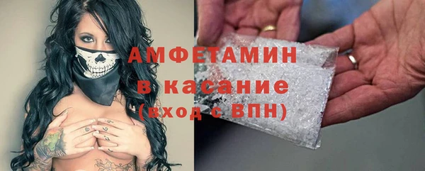шишки Арсеньев
