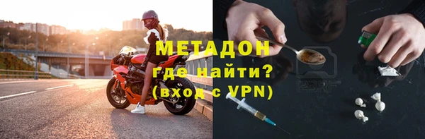 шишки Арсеньев