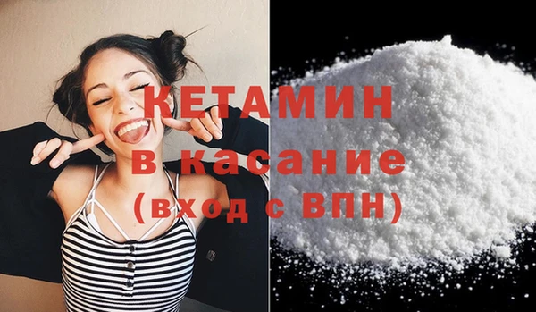 шишки Арсеньев