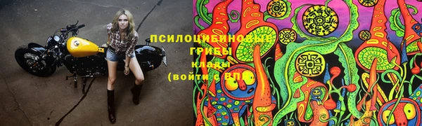 шишки Арсеньев