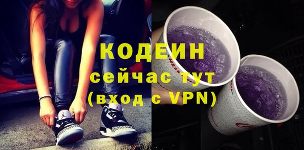 шишки Арсеньев